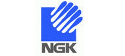华振机械合作客户-日本NGK